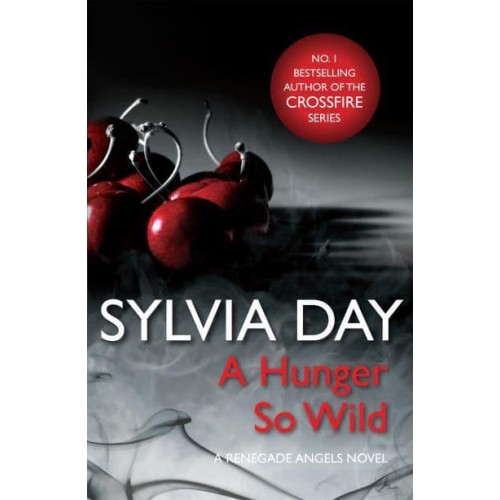 A Hunger So Wild - A Renegade Angels Novel