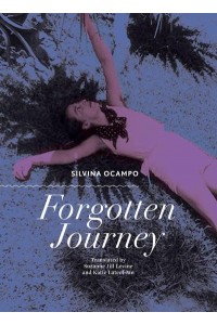 Forgotten Journey