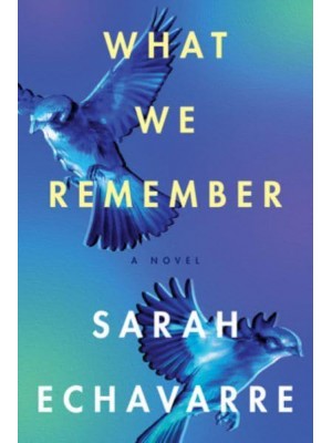 What We Remember A Novel