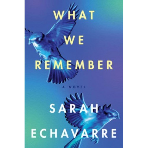 What We Remember A Novel