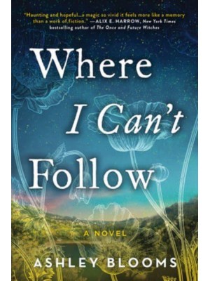 Where I Can't Follow A Novel