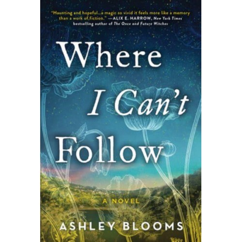 Where I Can't Follow A Novel