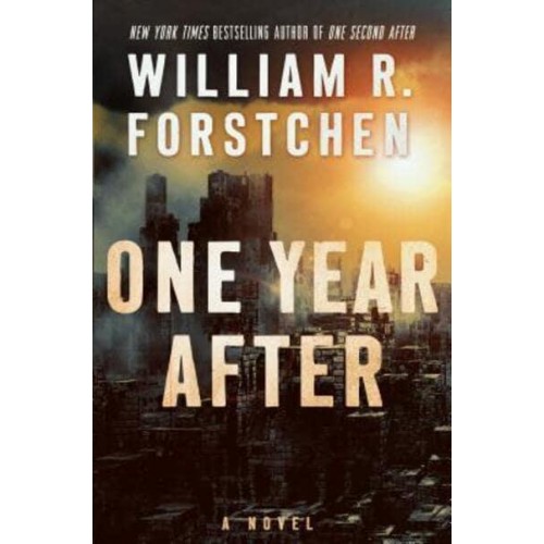 One Year After - John Matherson Novel