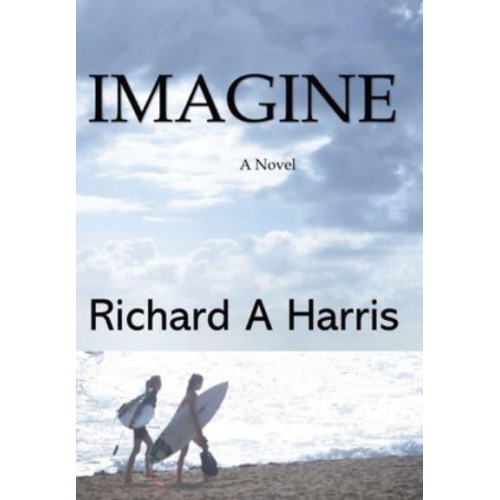 Imagine a Novel
