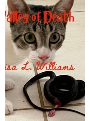Valley of Death