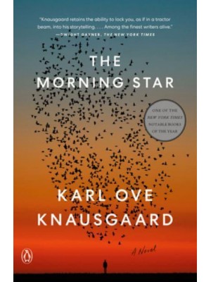 The Morning Star A Novel