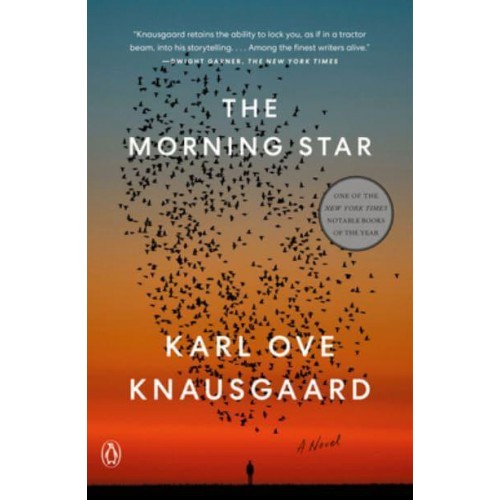 The Morning Star A Novel