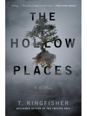 The Hollow Places A Novel