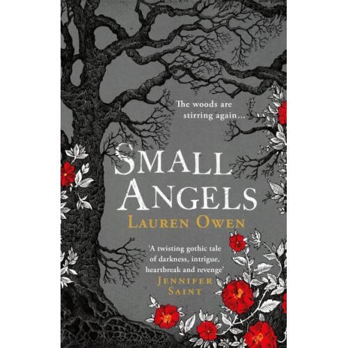 Small Angels A 'Beautifully Written Modern Ghost Story' New York Times