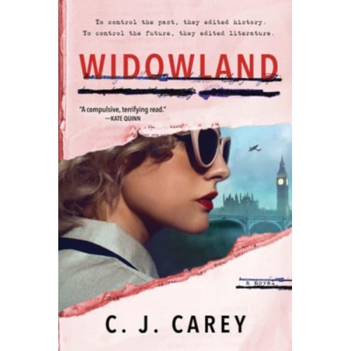 Widowland A Novel