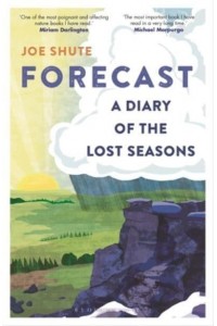 Forecast A Diary of the Lost Seasons