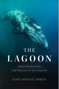 The Lagoon Encounters With the Whales of San Ignacio