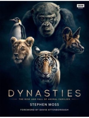 Dynasties The Rise and Fall of Animal Families