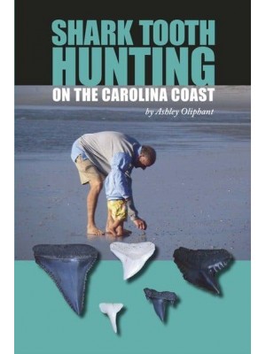 Shark Tooth Hunting on the Carolina Coast