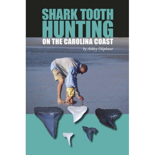 Shark Tooth Hunting on the Carolina Coast