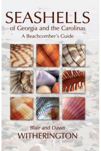 Seashells of Georgia and the Carolinas A Beachcomber's Guide