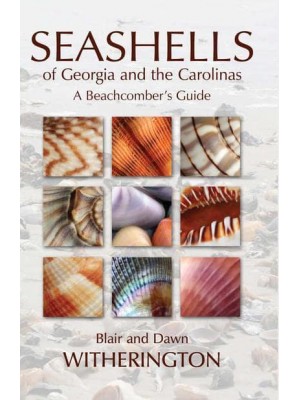 Seashells of Georgia and the Carolinas A Beachcomber's Guide