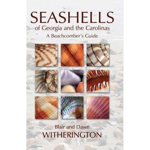 Seashells of Georgia and the Carolinas A Beachcomber's Guide