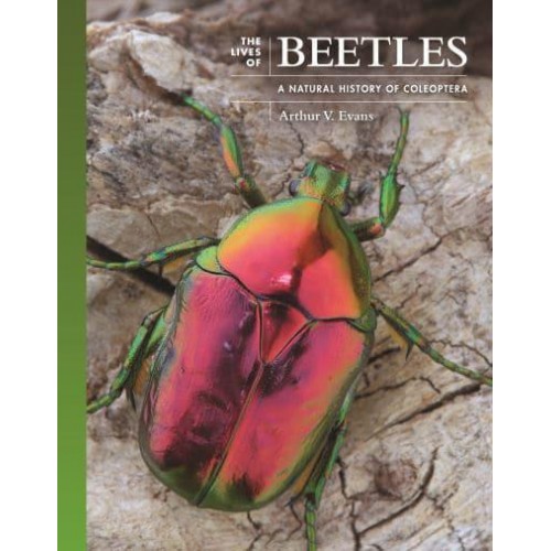 The Lives of Beetles A Natural History of Coleoptera - The Lives of the Natural World