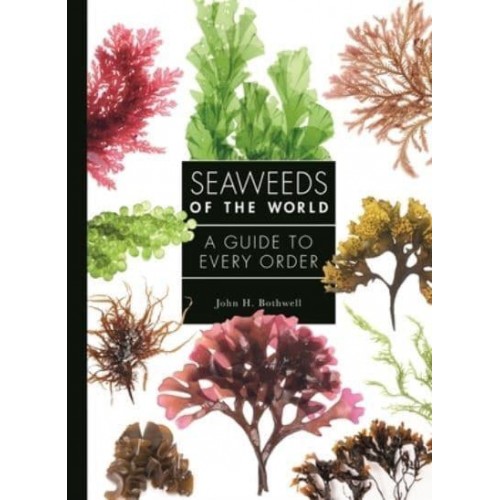 Seaweeds of the World A Guide to Every Order - A Guide to Every Family