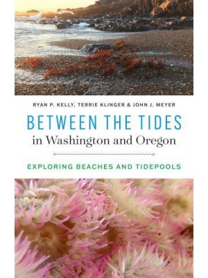 Between the Tides in Washington and Oregon Exploring Beaches and Tidepools
