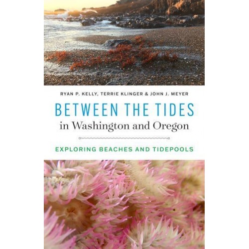 Between the Tides in Washington and Oregon Exploring Beaches and Tidepools