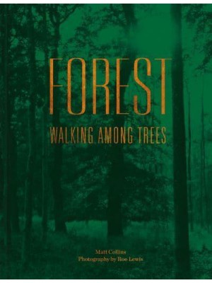 Forest Walking Among Trees
