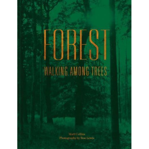 Forest Walking Among Trees