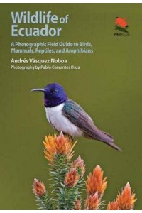 Wildlife of Ecuador A Photographic Field Guide to Birds, Mammals, Reptiles, and Amphibians - Wildlife Explorer Guides