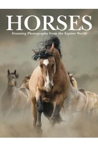 Horses Stunning Photographs from the Equine World - Animals