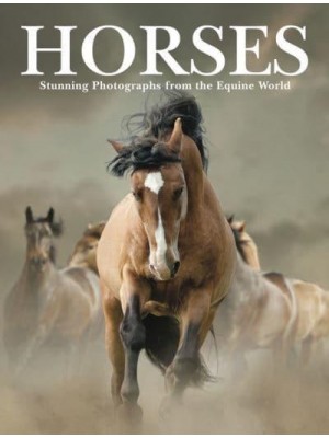 Horses Stunning Photographs from the Equine World - Animals