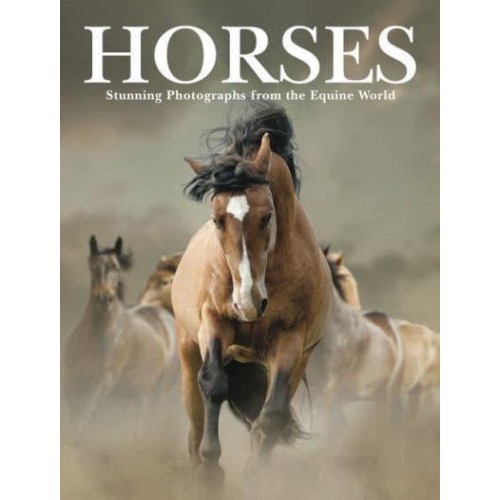 Horses Stunning Photographs from the Equine World - Animals