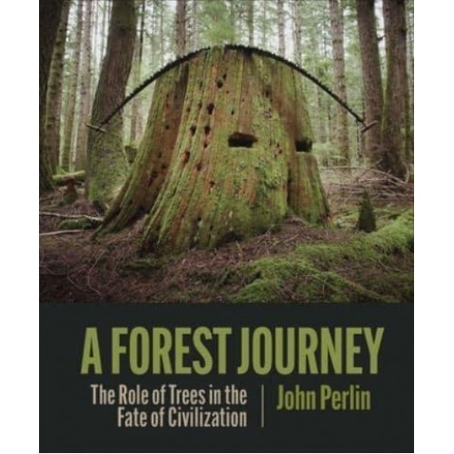 A Forest Journey The Role of Trees in the Fate of Civilization
