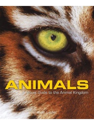 Animals A Visual Guide to the Animal Kingdom