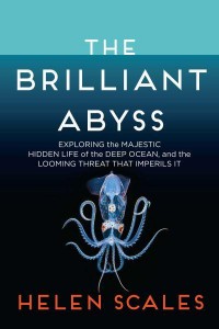 The Brilliant Abyss Exploring the Majestic Hidden Life of the Deep Ocean and the Looming Threat That Imperils It