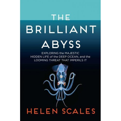 The Brilliant Abyss Exploring the Majestic Hidden Life of the Deep Ocean and the Looming Threat That Imperils It
