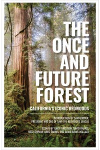 The Once and Future Forest California's Iconic Redwoods