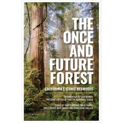 The Once and Future Forest California's Iconic Redwoods