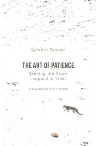 The Art of Patience Seeking the Snow Leopard in Tibet