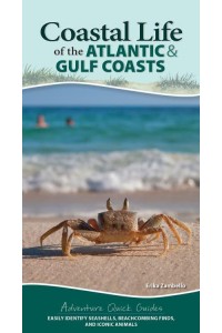 Coastal Life of the Atlantic and Gulf Coasts Easily Identify Seashells, Beachcombing Finds, and Iconic Animals - Adventure Quick Guides