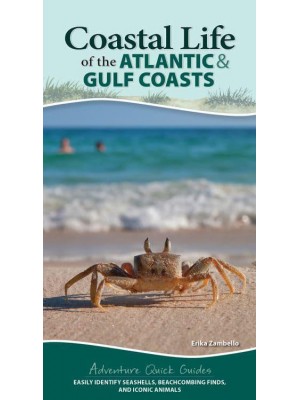 Coastal Life of the Atlantic and Gulf Coasts Easily Identify Seashells, Beachcombing Finds, and Iconic Animals - Adventure Quick Guides