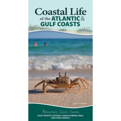 Coastal Life of the Atlantic and Gulf Coasts Easily Identify Seashells, Beachcombing Finds, and Iconic Animals - Adventure Quick Guides