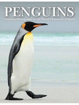 Penguins The World's Favourite Seabird in Its Natural Habitat - Animals