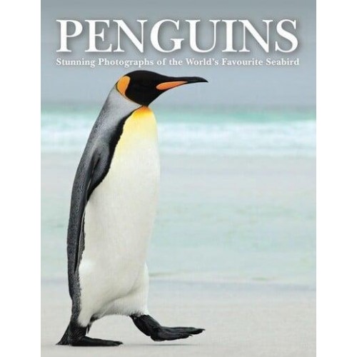 Penguins The World's Favourite Seabird in Its Natural Habitat - Animals