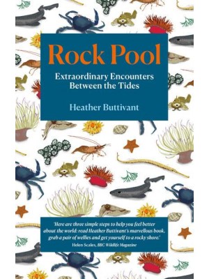 Rock Pool A Life-Long Fascination Told in Twenty-Four Creatures
