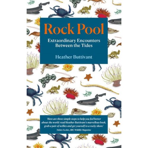 Rock Pool A Life-Long Fascination Told in Twenty-Four Creatures