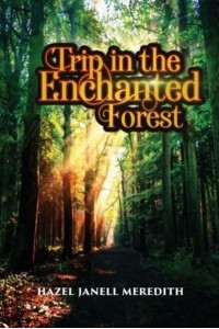 Trip in the Enchanted Forest