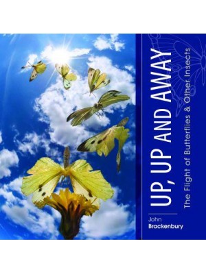Up, Up and Away The Flight of Butterflies & Other Insects