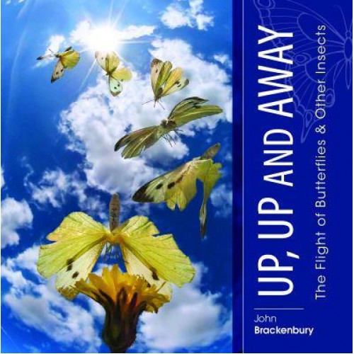 Up, Up and Away The Flight of Butterflies & Other Insects