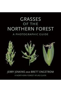 Grasses of the Northern Forest A Photographic Guide - The Northern Forest Atlas Guides